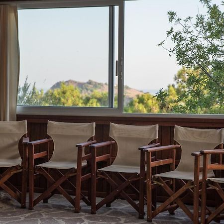 Alma Hotel بترا المظهر الخارجي الصورة